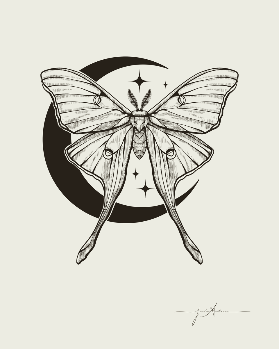 Luna Moth B&W