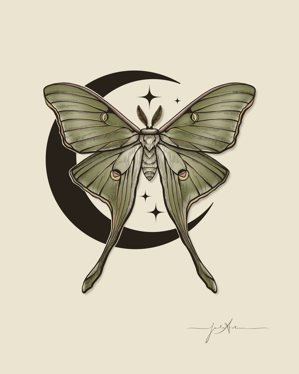 Luna Moth