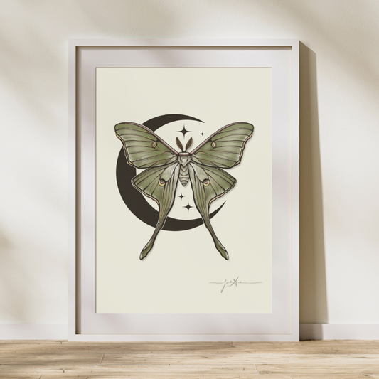 Luna Moth Fine Art Print- Colour