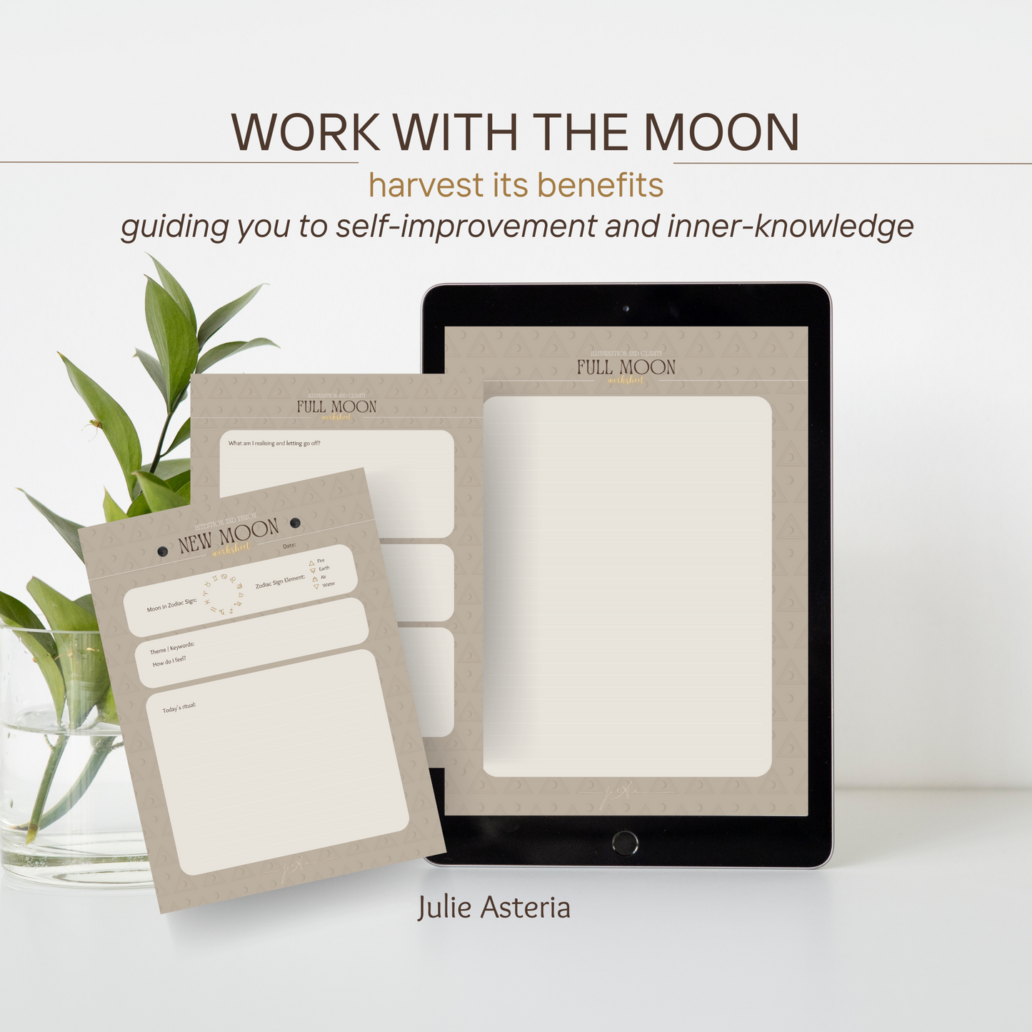 New Moon and Full Moon Worksheets. Digital Download