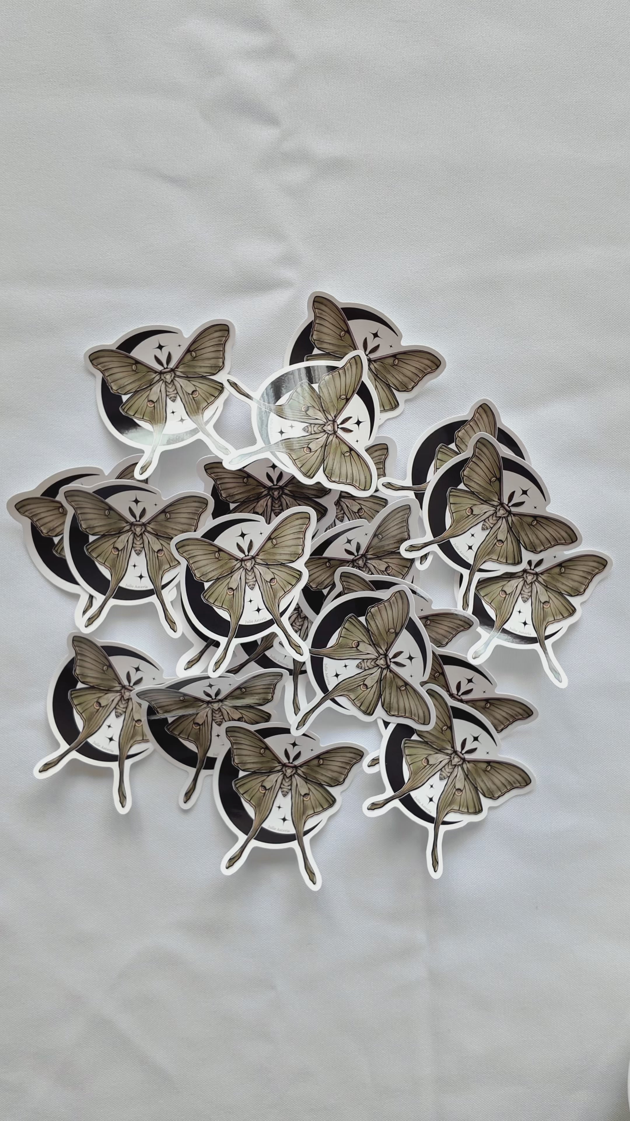 Moon Moth (Colour) Sticker